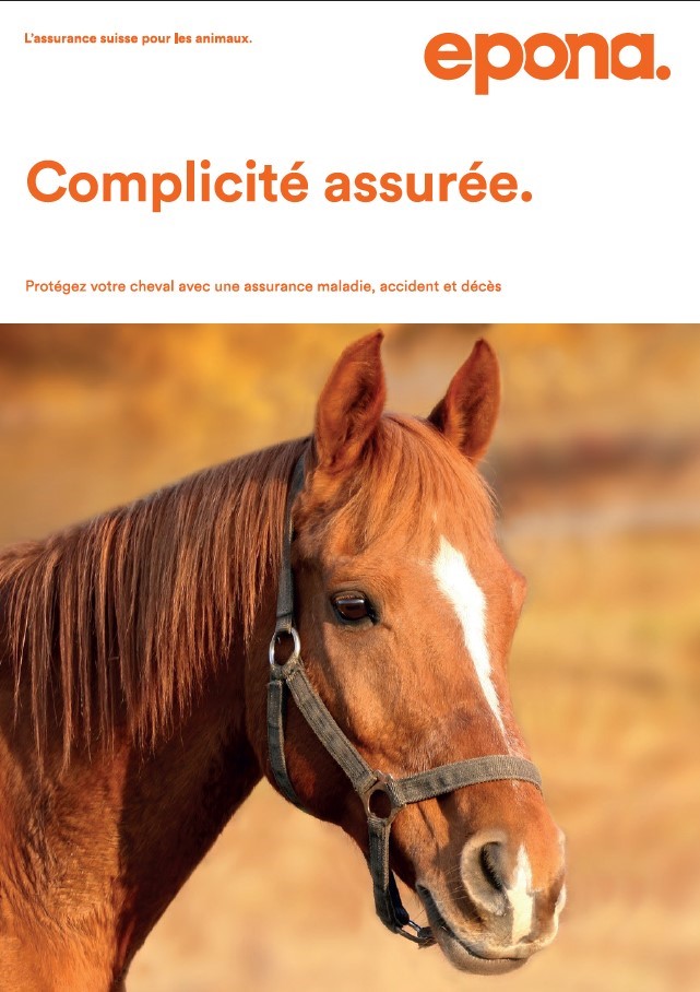 Image Brochure chevaux FR